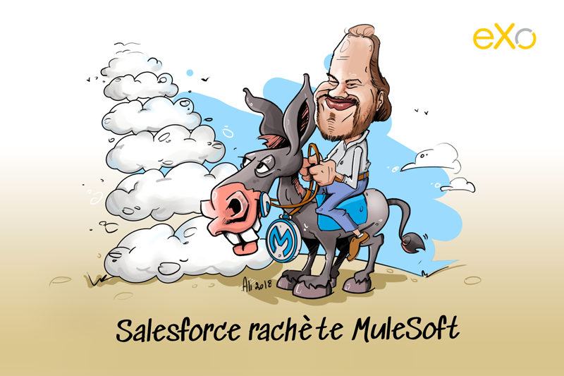 Salesforce rachète Mulesoft