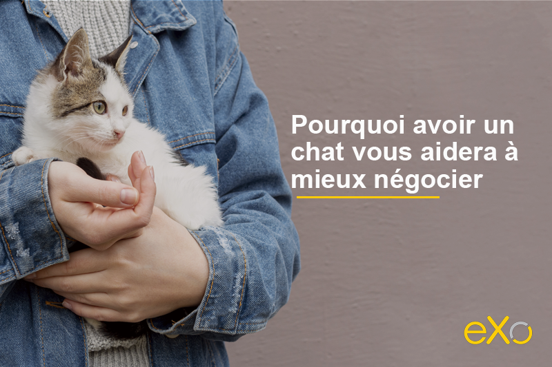 Pourquoi-avoir-un-chat-vous-aidera-a-mieux-negocier-800x533