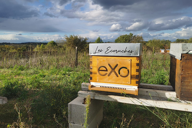 eXo-s-engage-ecoresponsabilite-abeilles